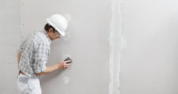 Best Fire-Damaged Drywall Repair  in Baldwin, LA