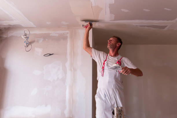 Best Drywall Installation  in Baldwin, LA